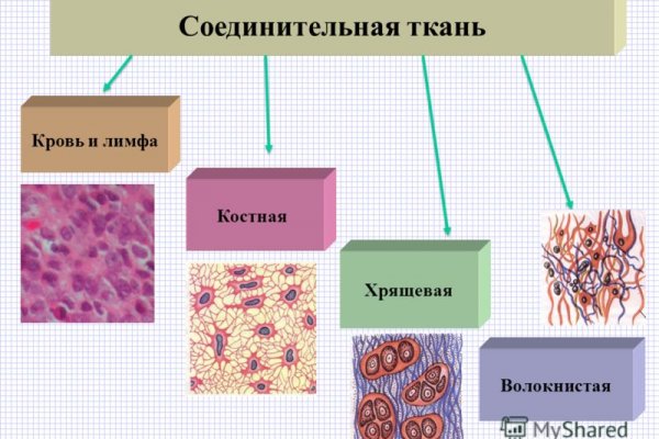 Актуальный сайт кракена