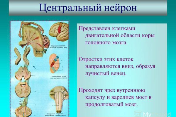 Кракен даркнет официальный сайт